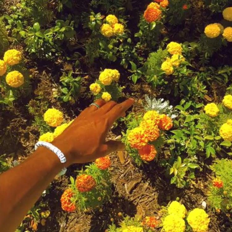 Read more about the article Tyler, The Creator – Peach Fuzz (Review & Stream)