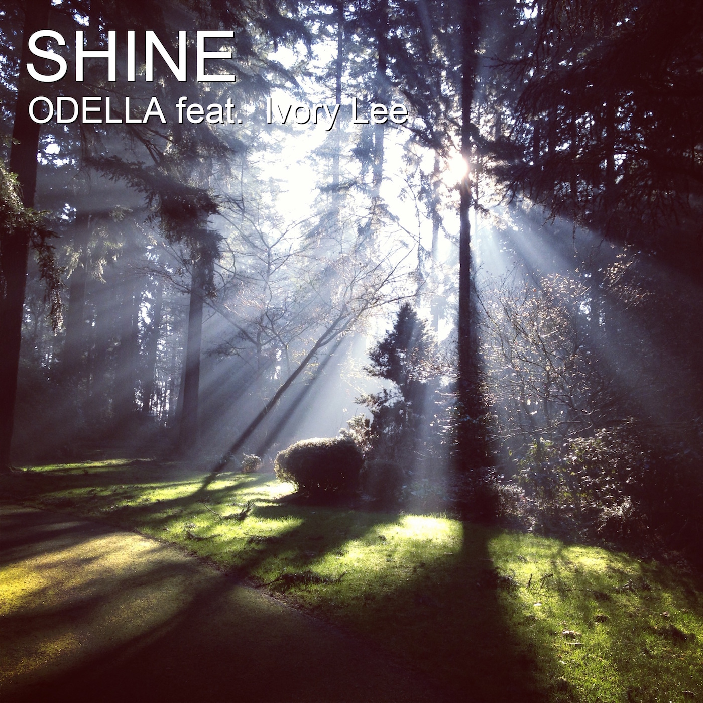 Read more about the article Susan Odella’s “SHINE” Is EDM/Dance Music At Its Finest (Review & Stream)