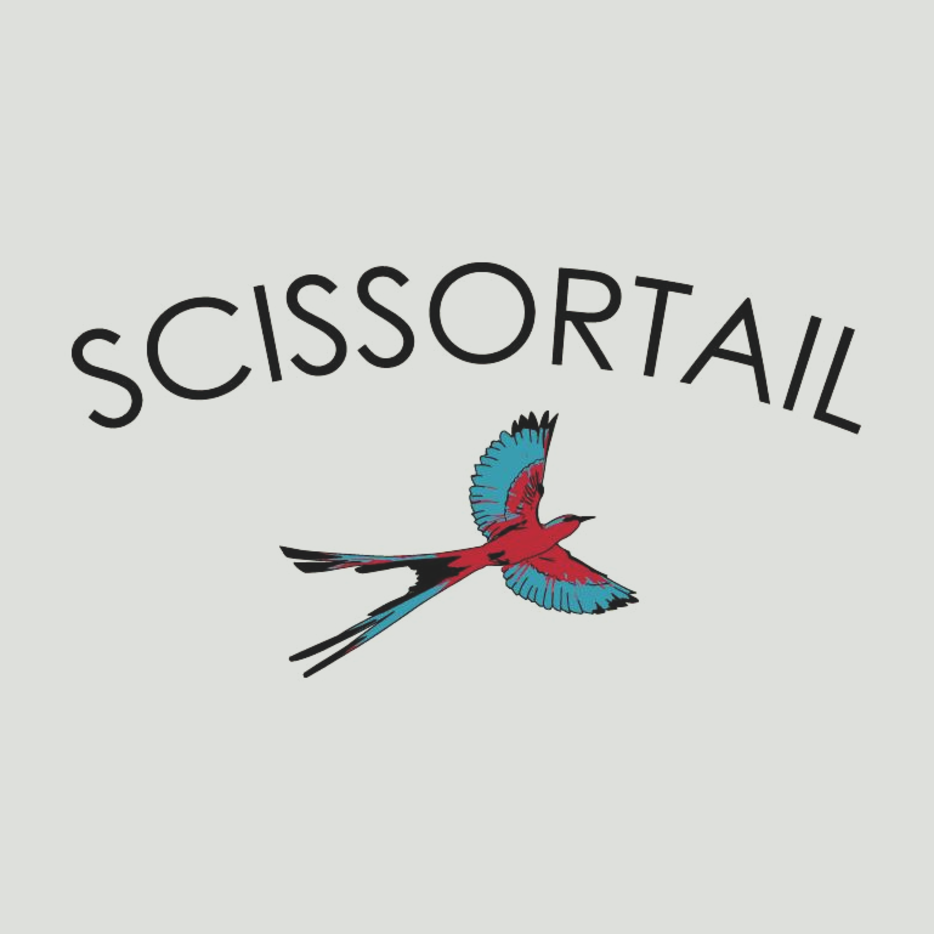 Scissortail’s “So Alone” Will Pierce At Your Soul (Review & Stream)