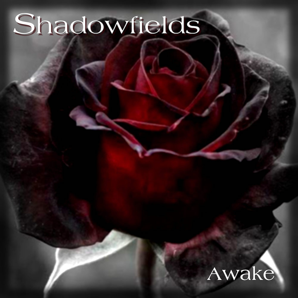 Shadowfields Stimulate Minds In “Awake” (Review & Stream)