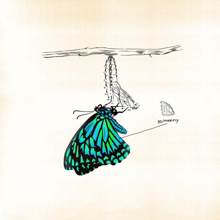 Read more about the article Kehlani Illuminates In “Butterfly” (Review & Stream)