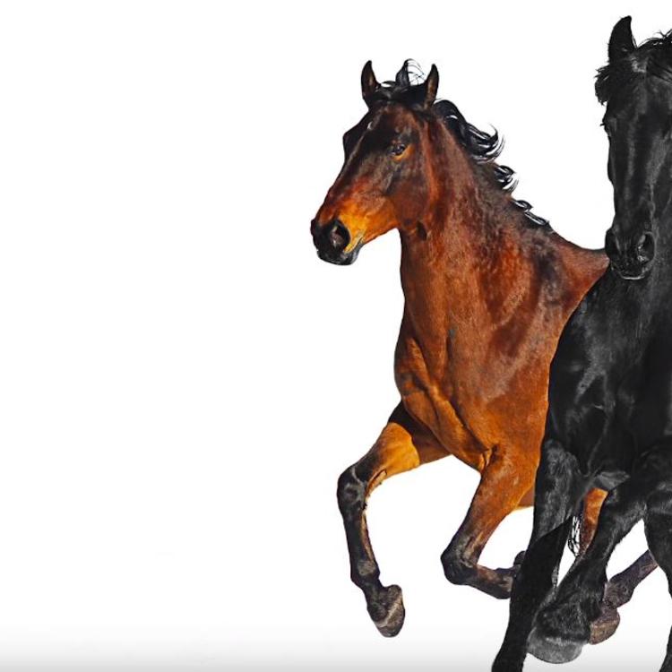 Billy Ray Cyrus Hops On Lil Nas X’s “Old Town Road”
