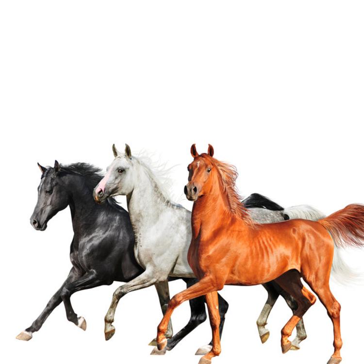 Lil Nas X’s “Old Town Road” With Billy Ray Cyrus Gets A Diplo Remix