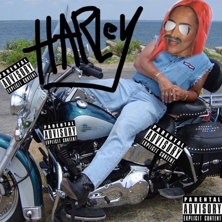 Read more about the article Doja Cat Releases “Harley”