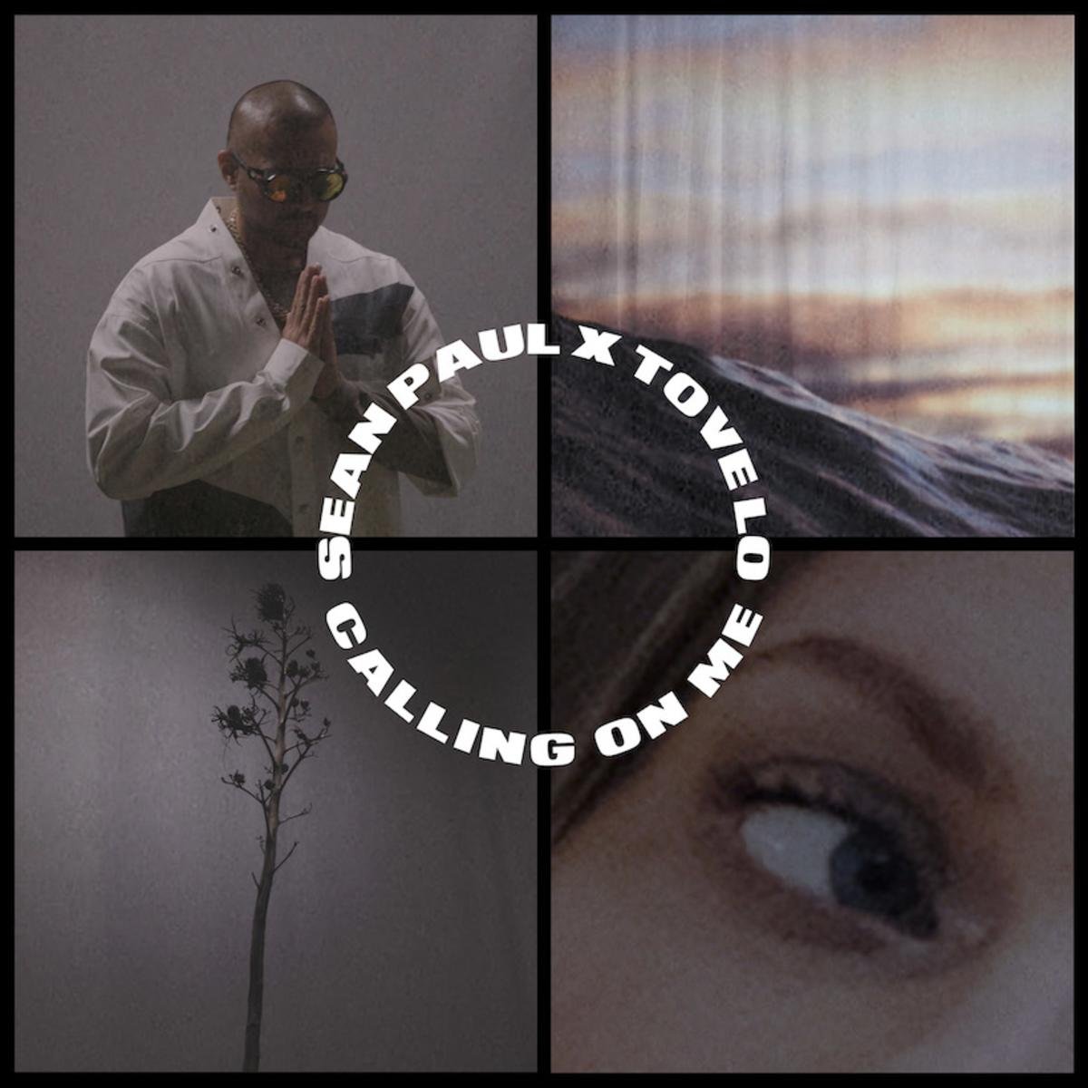 Read more about the article Sean Paul & Tove Lo Join Forces For “Calling On Me”
