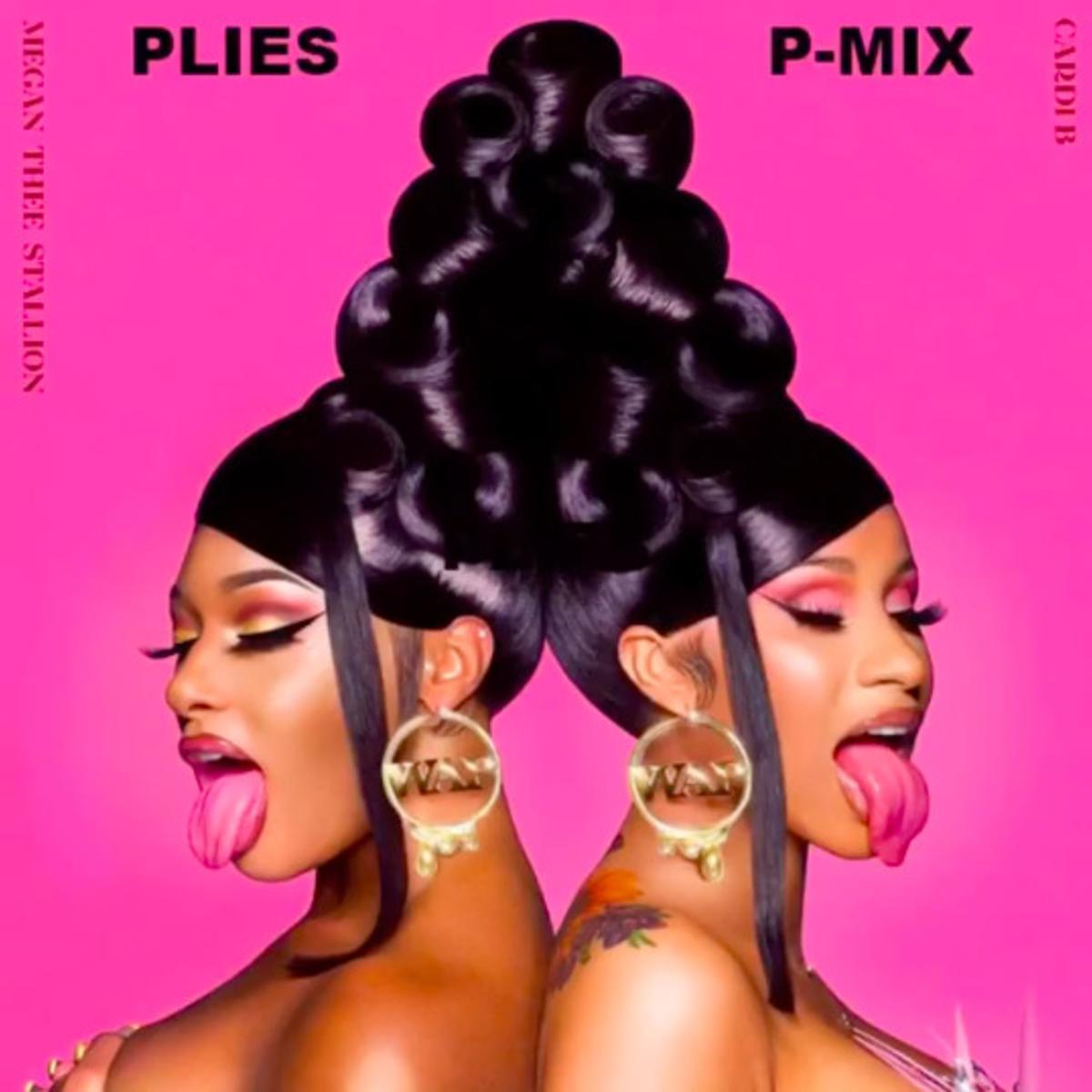 Read more about the article Plies Goes Off On “WAP (P-Mix)”
