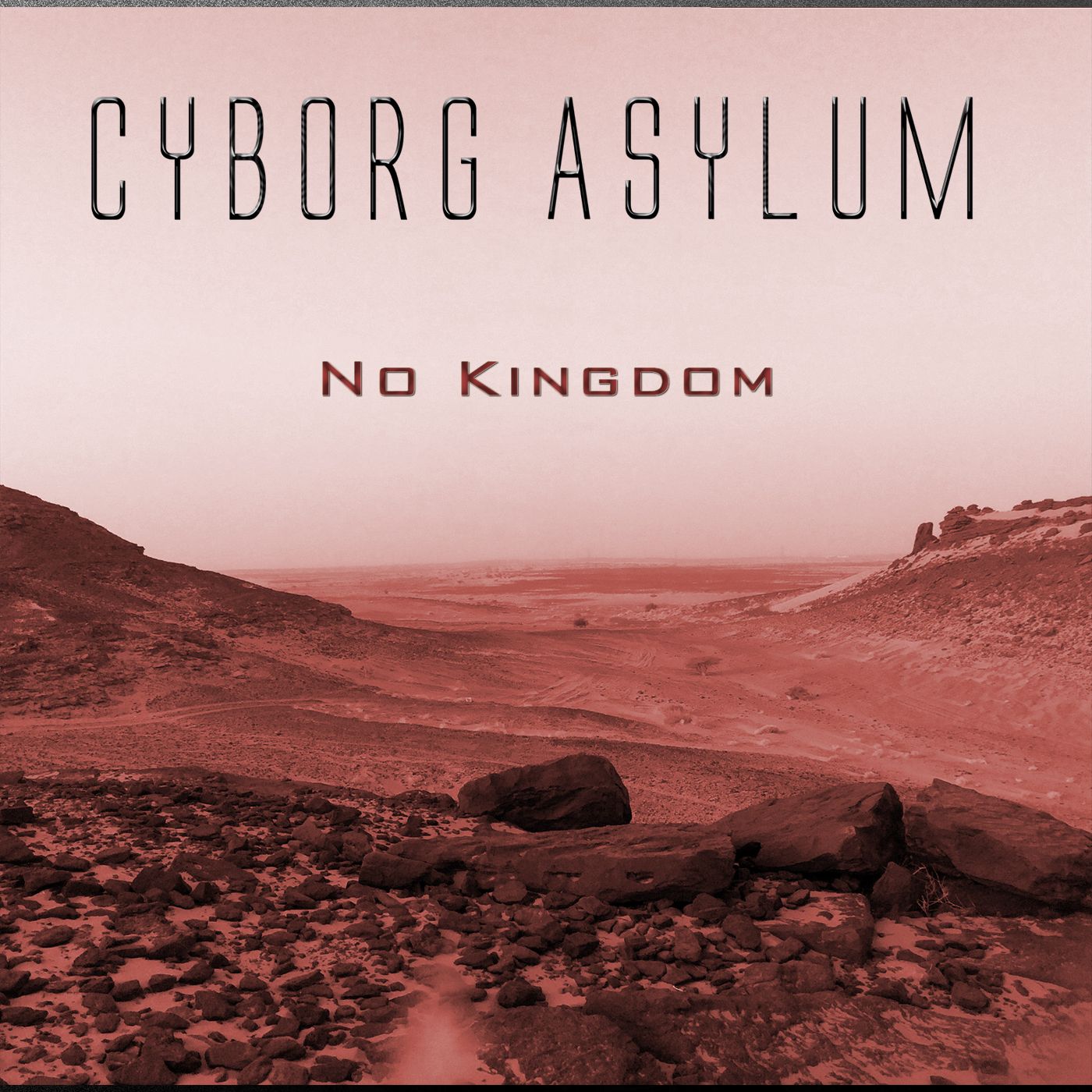 Read more about the article Cyborg Asylum Returns With “No Kingdom”