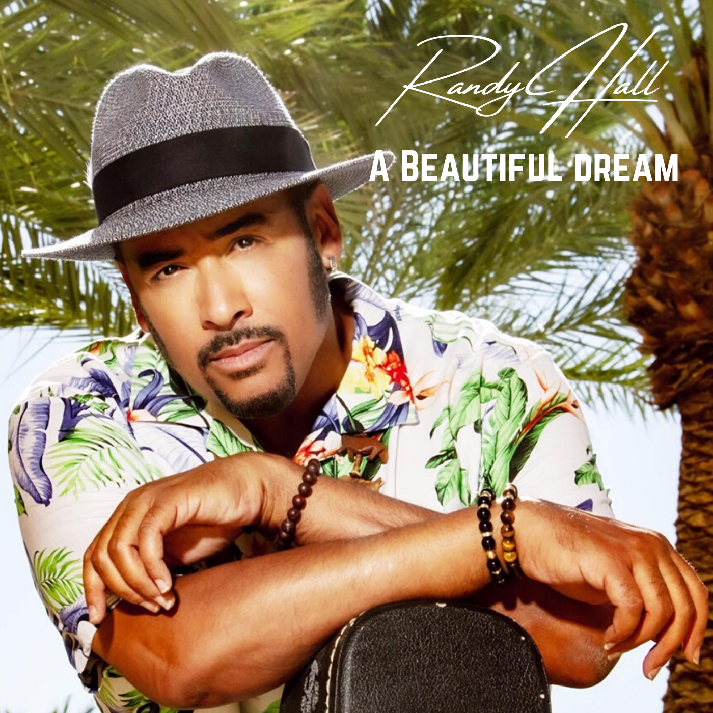 Read more about the article Randy Hall Illuminates On “A Beautiful Dream”