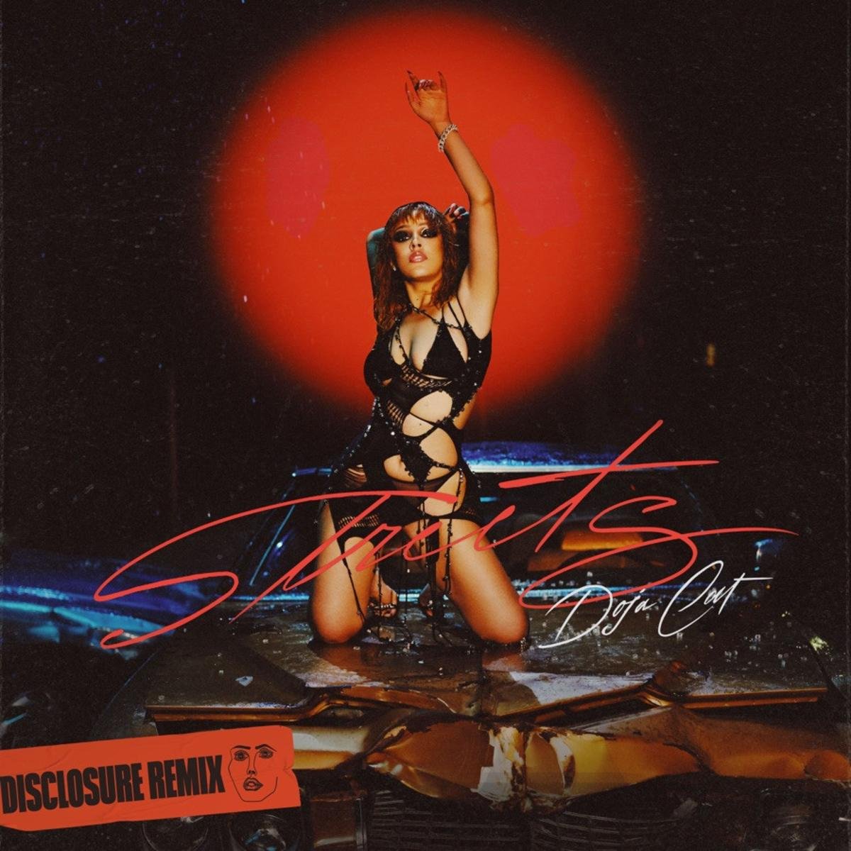Read more about the article Doja Cat Releases A Disclosure Remix To “Streets”