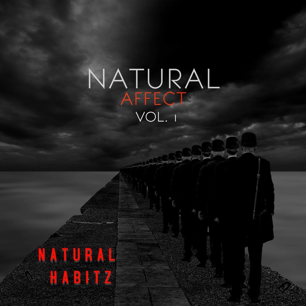 Read more about the article Natural Habitz – Natural Affect Vol. 1 (Album Review)