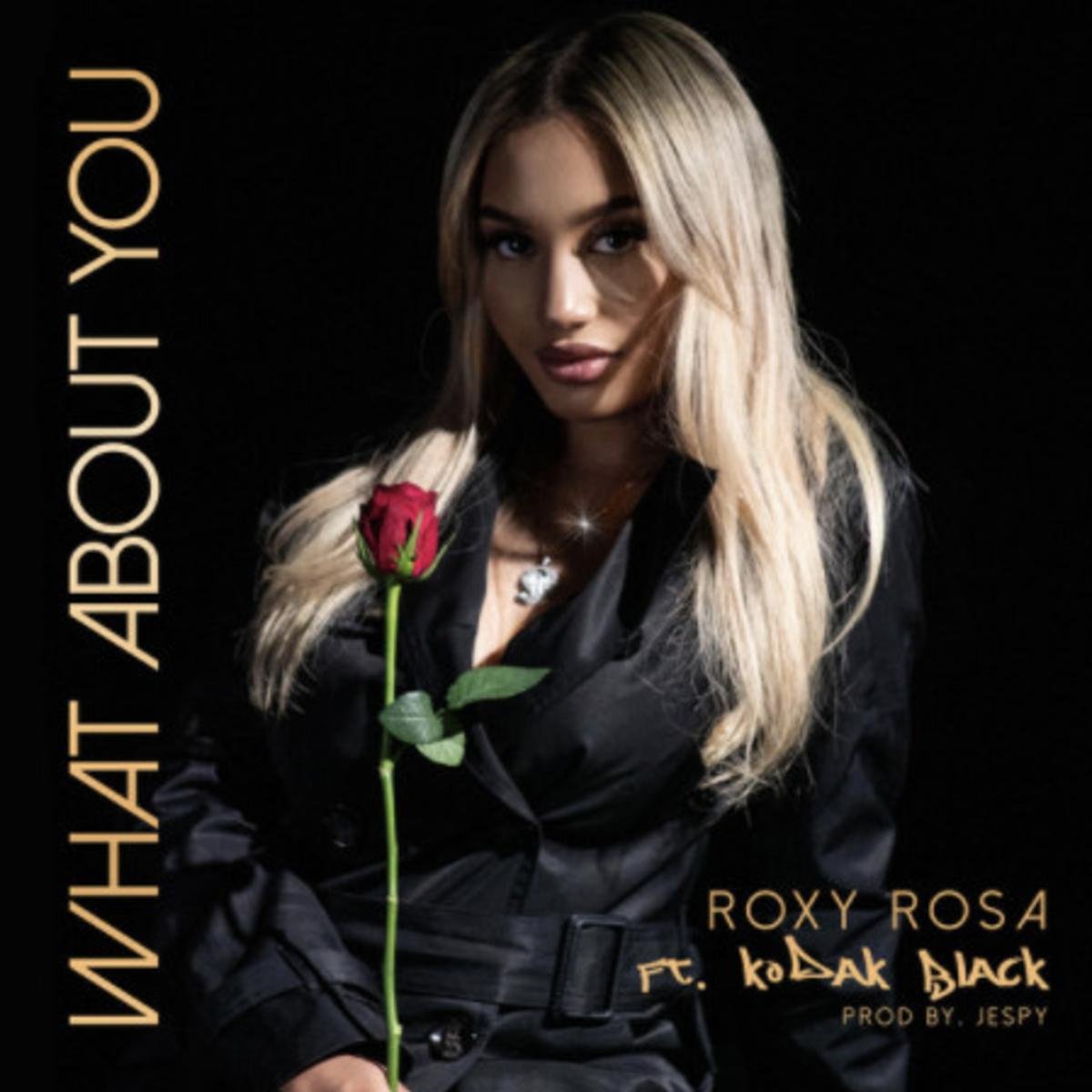 Read more about the article Roxy Rosa Calls On Kodak Black For “What About You”