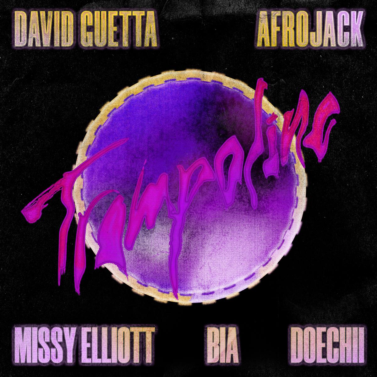 Read more about the article David Guetta & Afrojack Recruit Missy Elliott, BIA & Doechii For “Trampoline”