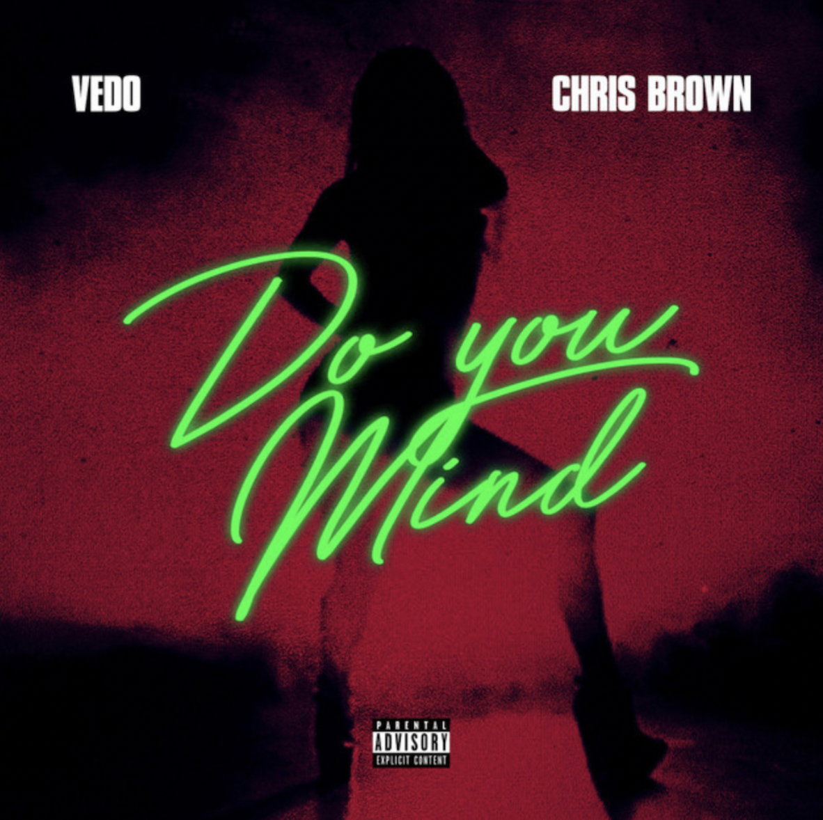 Read more about the article Chris Brown & Vedo Unite For “Do You Mind”