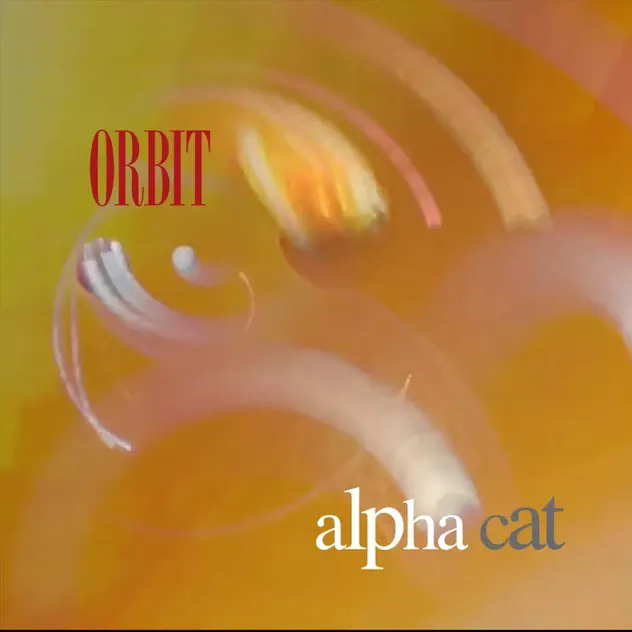 Alpha Cat Goes into “Orbit”