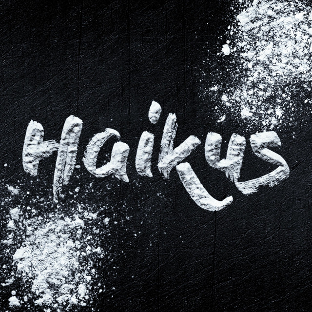 Read more about the article RayNash Drops Heat with “Haikus”