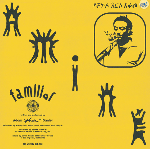 Read more about the article Amine Drops “Familiar” 