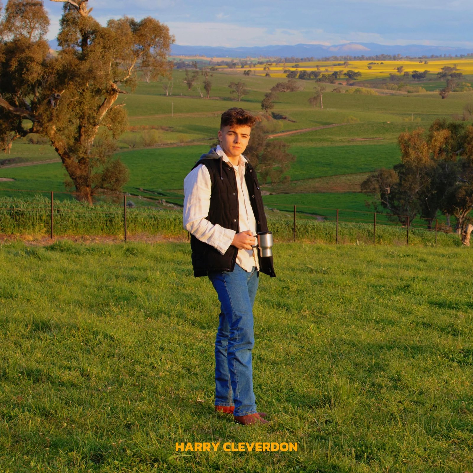 Read more about the article Harry Cleverdon- Survival (Album Review)