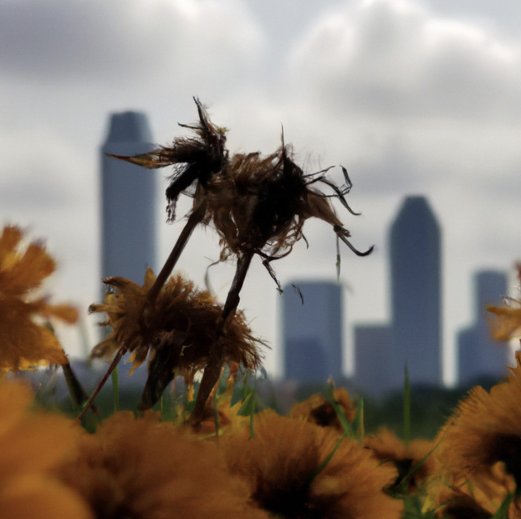 Read more about the article 3Rik & Bryce Hase Team Up for Heartfelt Collab “Who’s to Blame”