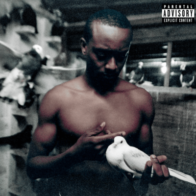 Read more about the article Buddy – Simmie Sims III (Album Review)